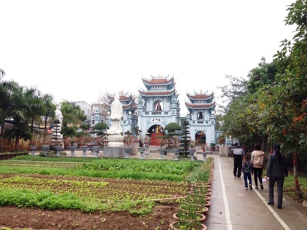 Xã Vĩnh Quỳnh nhận danh hiệu Anh hùng Lực lượng vũ trang Nhân dân ảnh 2